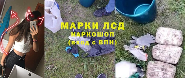 индика Алексин