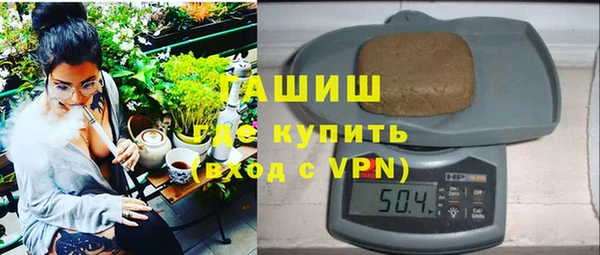 индика Алексин